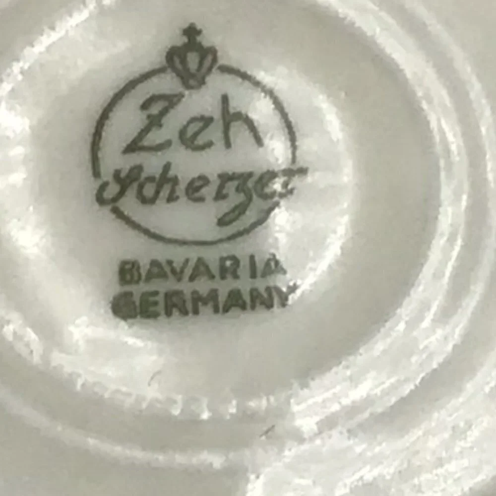 Vintage Zeh Scherzer Bavaria Germany Tea Cup and Saucer